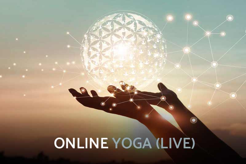 You are currently viewing ONLINE YOGA / LIVE YOGA MIT ANDREA
