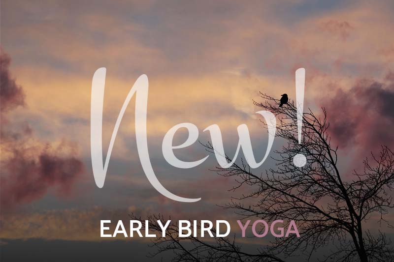 Read more about the article EARLY BIRD YOGA – MIT MONIKA BRAUN