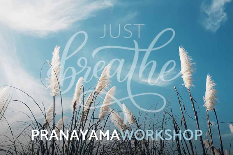 You are currently viewing PRANAYAMA WORKSHOP
