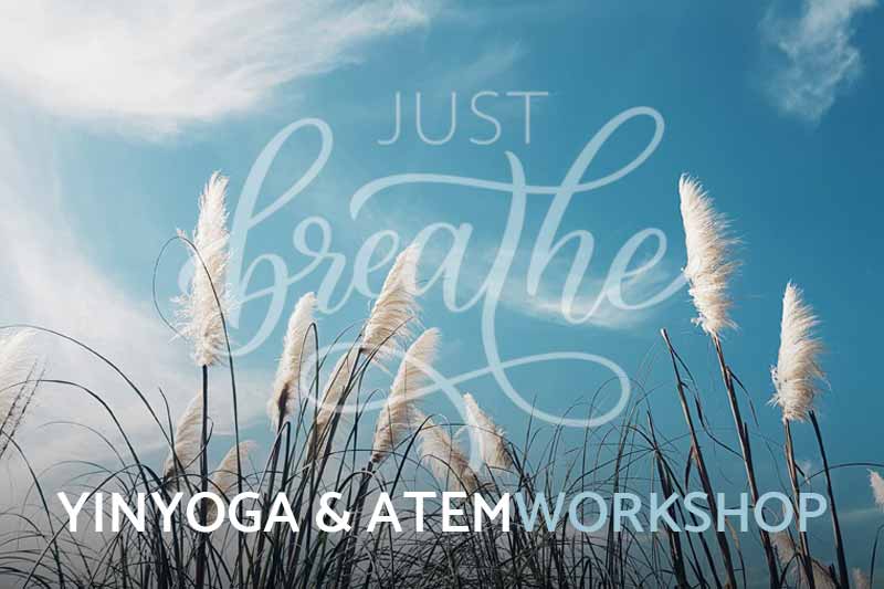 You are currently viewing YIN YOGA & ATEM WORKSHOP