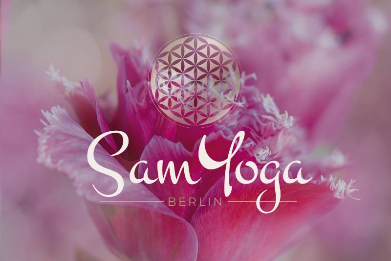 Read more about the article DIE BEDEUTUNG VON SAMYOGA