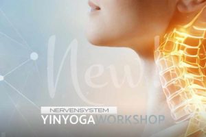 Mehr über den Artikel erfahren YINYOGA WORKSHOP „NERVENSYSTEM“