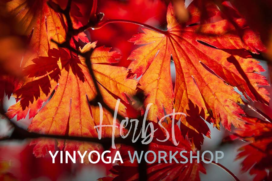 YINYOGA WORKSHOP „HERBST“