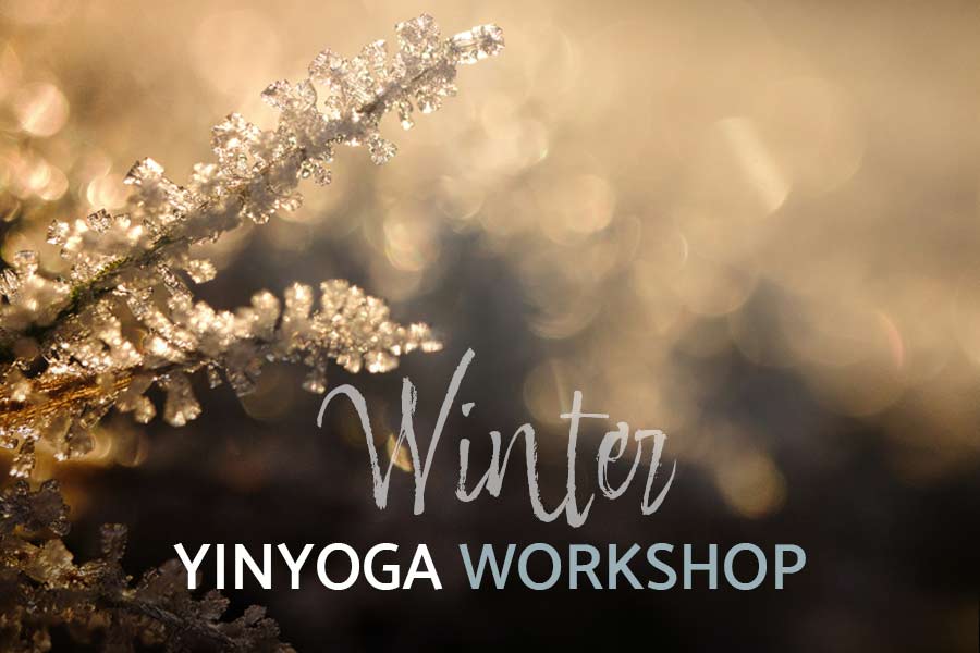 YINYOGA WORKSHOP „WINTER“