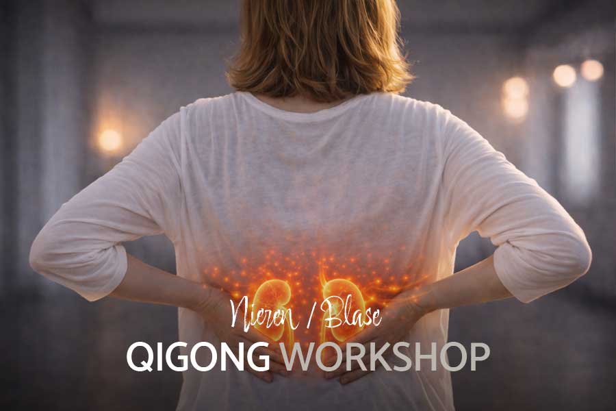 Mehr über den Artikel erfahren QIGONG WORKSHOP NIEREN