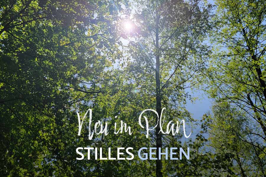 OUTDOOR-KURS „STILLES GEHEN“