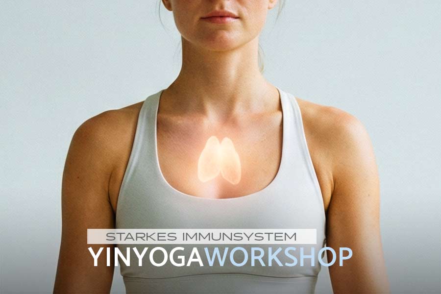 Du betrachtest gerade YINYOGA WORKSHOP „STARKES IMMUNSYSTEM“