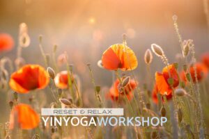 Mehr über den Artikel erfahren YINYOGA WORKSHOP „RESET & RELAX“
